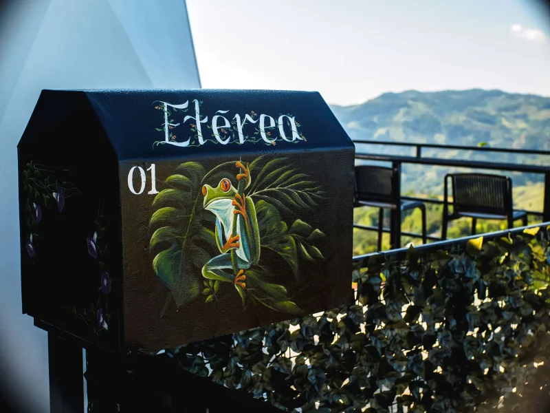 eterea-14