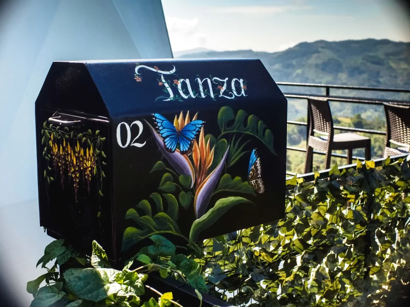 tanza-1