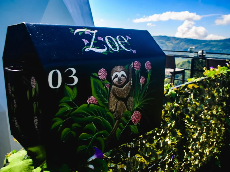 zoe-12